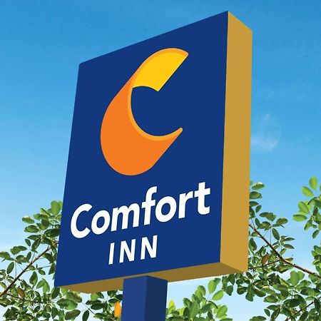 Comfort Inn Martinsville Eksteriør billede
